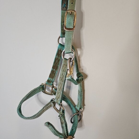 Colt Halter, used faded turquoise - Picture 3 of 6